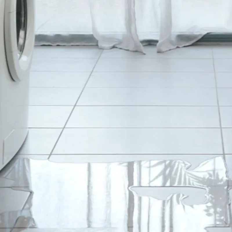 Appliance Leak Cleanup in Washington County, MN